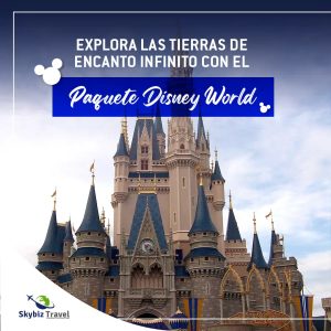 Paquete Disney